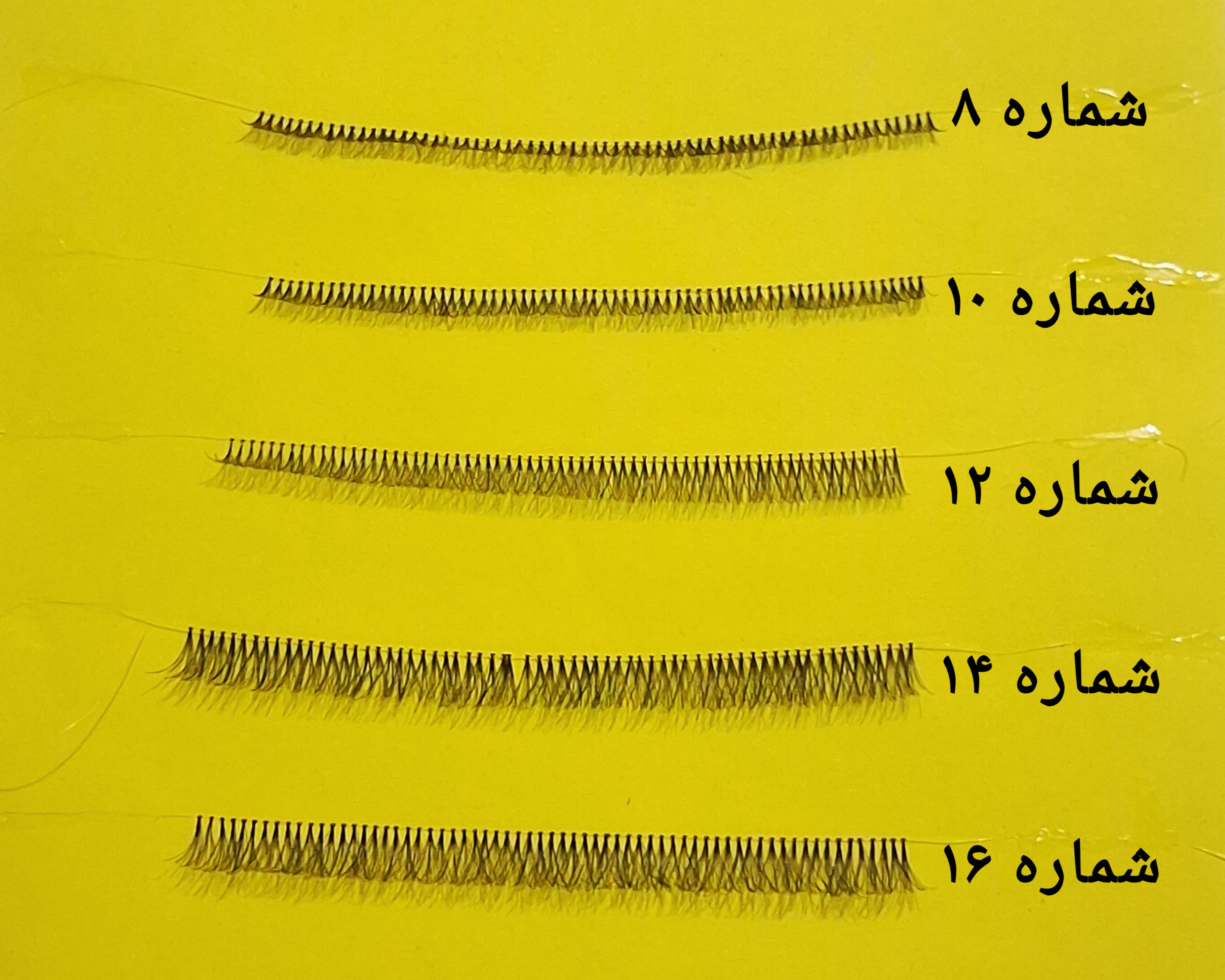 مژه مصنوعی ریسه ای مدل گره ای